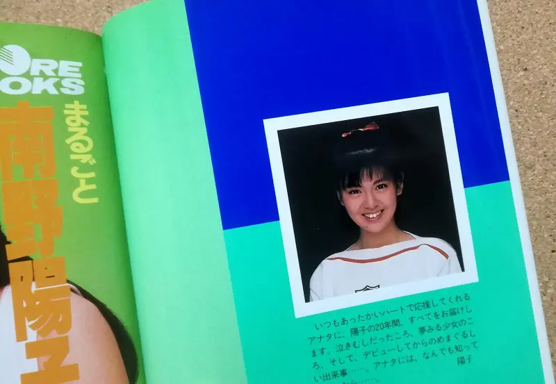 南野陽子まるごとNANNO BOOK