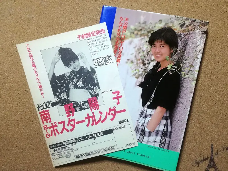 全ての まるごと南野陽子BOOKレビュー～かわいいナンノと素顔の南野陽子 その他